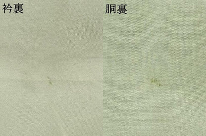 平和屋着物●結城紬　奥順　はたおり娘　飛び亀甲柄　薄萌葱色　証紙付き　正絹　逸品　未使用　AABI1817fy