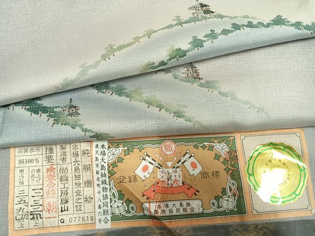 平和屋着物●本場縞大島紬　染大島　訪問着　作家物　風景文　織工房藤山謹製　証紙付き　正絹　逸品　未使用　AABI1829fy