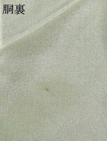 平和屋着物●本場大島紬　草葉文　黒地　ロング丈　正絹　逸品　AABI1847fy