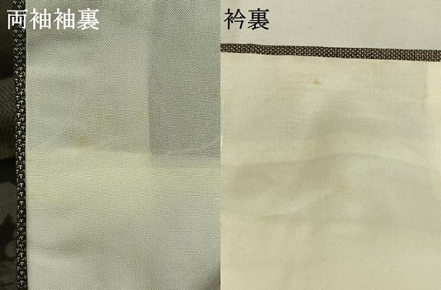 平和屋着物●本場大島紬　カタス9マルキ　草花文　正絹　逸品　AABI1858fy