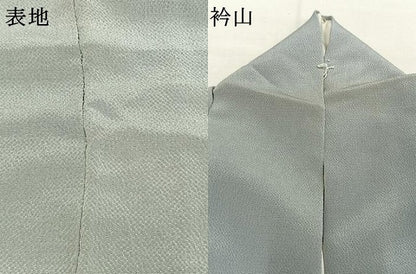 平和屋着物●訪問着　友禅　作家物　草花文　暈し染め　金彩　鬼しぼ縮緬　正絹　逸品　AABI1901fy