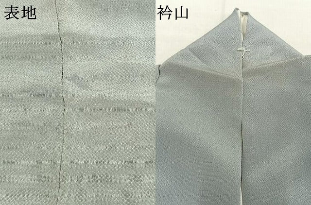 平和屋着物●訪問着　友禅　作家物　草花文　暈し染め　金彩　鬼しぼ縮緬　正絹　逸品　AABI1901fy