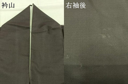 平和屋着物●本場大島紬　訪問着　鴛鴦文　正絹　逸品　AABI1968fy