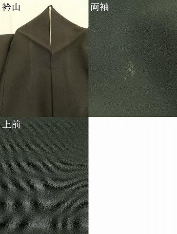 平和屋着物●豪華黒留袖　友禅　枝花文　正絹　逸品　AABI1995fy