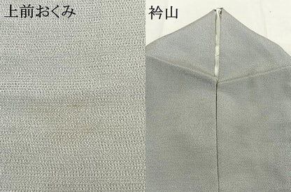平和屋着物●本塩沢　薄雲鼠色　正絹　逸品　AABI2030fy