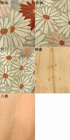 平和屋着物●アンティーク　大正ロマン　訪問着　花尽くし　正絹　逸品　AABI2033fy