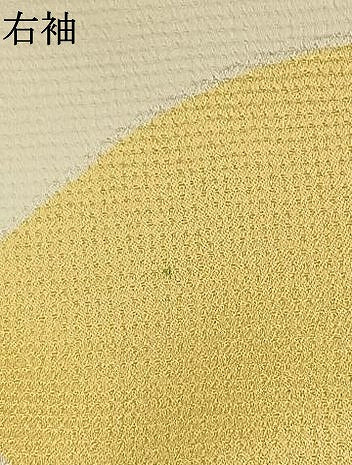 平和屋着物●訪問着　刺繍　草花文　金彩　正絹　逸品　AABI2046fy