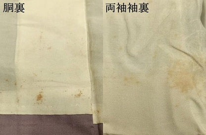 平和屋着物●本場大島紬　カタス9マルキ　亀甲文　正絹　逸品　AABI2064fy