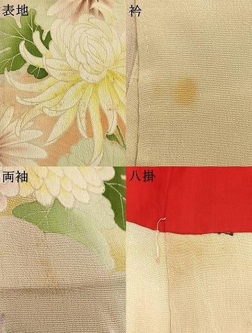 平和屋本店●アンティーク　大正ロマン　振袖　草花文　暈し染め　正絹　逸品　AABI2080fy