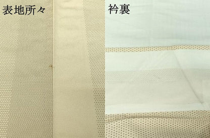 平和屋着物▽本塩沢　単衣　110亀甲　蚊絣　正絹　逸品　AABI2089jh