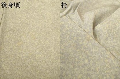 平和屋着物●訪問着　女人文　金彩　正絹　逸品　未使用　AABI2401ck