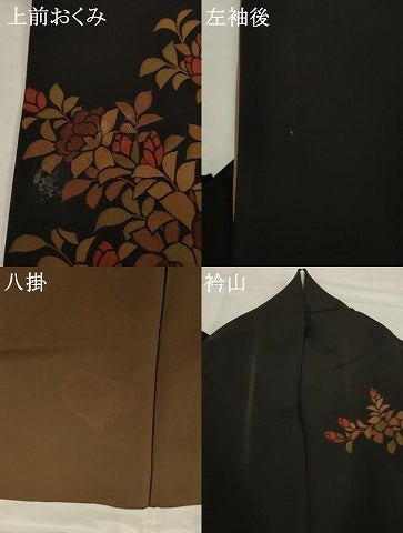 平和屋着物●訪問着　枝花文　黒地　正絹　逸品　AABI2437ck
