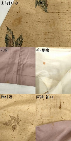 平和屋着物●ぜんまい紬　舞葉文　正絹　逸品　AABI2503cs