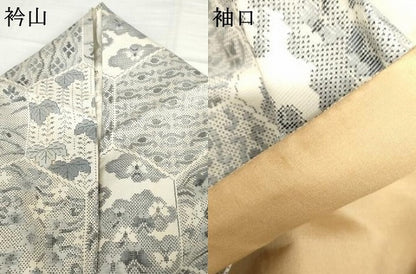 平和屋着物●本場大島紬　白大島　一元7マルキ　総絣　亀甲花蝶文　正絹　逸品　AABI2521cs