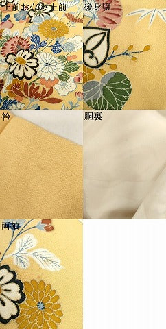 平和屋着物●訪問着　友禅　流水枝花文　鬼しぼ縮緬　正絹　逸品　AABI2529cs