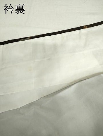 平和屋着物●国指定重要無形文化財　本場久米島紬　手織　琉球絣文様　正絹　逸品　未使用　AABI2544cs
