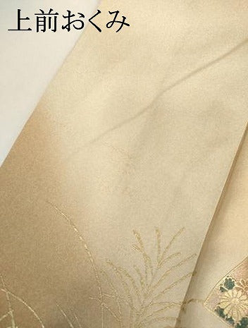 平和屋着物●訪問着　扇面枝葉文　暈し染め　金銀彩　ロング丈　正絹　逸品　AABI2557cs