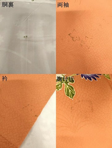平和屋着物●訪問着　友禅　駒刺繍　枝花文　金糸　金彩　正絹　逸品　AABI2581cs