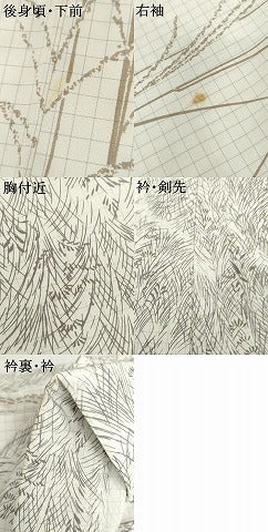 平和屋着物●男性　友禅師　酒井秀充　本場大島紬　染大島　訪問着　背抜き仕立て　すすき　キングサイズ　正絹　逸品　AABI2591cs