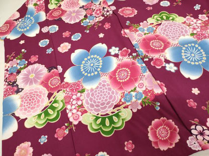 平和屋着物∵女の子　十三参り　子供　祝着・行灯袴セット　arisana　舞花文　洗える着物　AABI2844ja