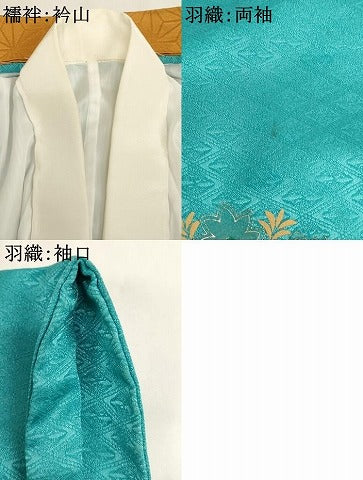 平和屋着物[]七五三 男の子 祝着・羽織・長襦袢・行灯袴セット 鷹 正倉院花文 金彩 AABI2883ja