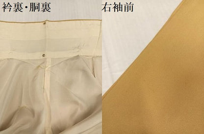 平和屋着物●豪華色留袖　刺繍　飛鳥鴛鴦草花文　金彩　正絹　逸品　AABI3048ph