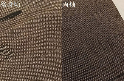 平和屋着物●本場大島紬　カタス9マルキ　風景文　大丸扱い　正絹　逸品　AABI3058ph