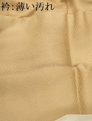 平和屋着物■訪問着　枝花文　暈し染め　金彩　正絹　逸品　AABI3847sx