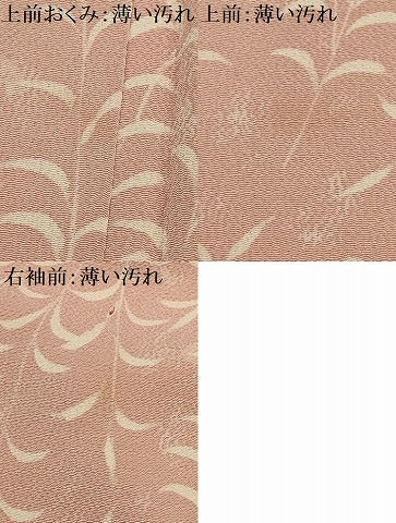 平和屋着物■上質な小紋　草花文　金彩　鬼しぼ縮緬　正絹　逸品　AABI3862sx