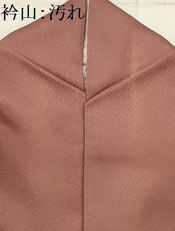 平和屋着物■訪問着 南天文 正絹 逸品 AABI3870sx