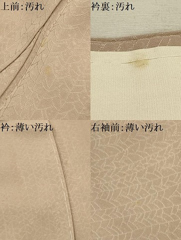 平和屋着物■上質な色無地 枝葉地紋 白茶色 正絹 逸品 AABI3887sx