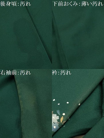 平和屋着物■訪問着　刺繍　草花文　金糸　金彩　胴抜き仕立て　正絹　逸品　AABI3899sx