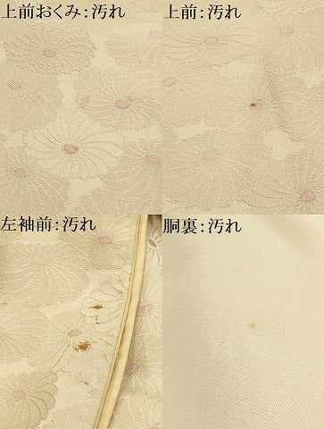 平和屋着物■上質な小紋　地紋起こし　狢菊　正絹　逸品　AABI3905sx