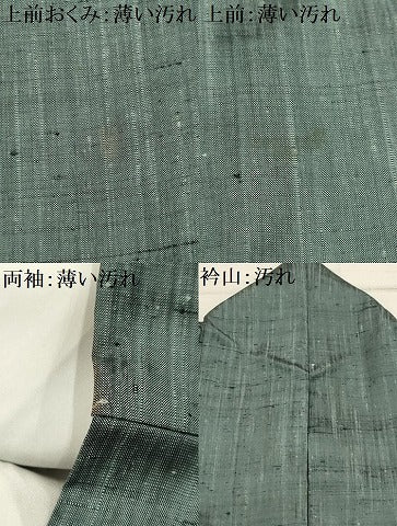 平和屋着物■上質な紬 霞文 正絹 逸品 AABI3945sx