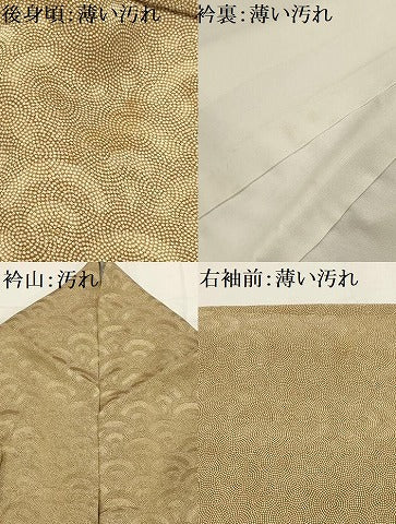平和屋着物■江戸小紋　青海波　正絹　逸品　AABI3947sx