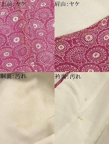 平和屋着物■上質な小紋　菊尽くし　正絹　逸品　AABI3965sx