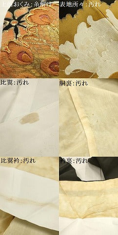 平和屋着物■豪華黒留袖　駒刺繍　手描き　孔雀花文　金彩　正絹　逸品　AABI3967sx