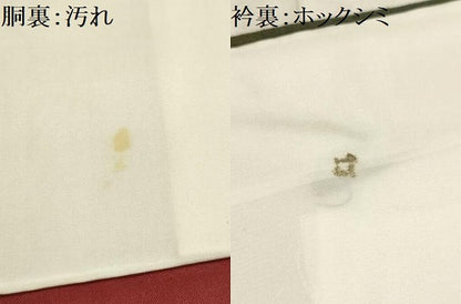 平和屋着物■上質な紬　枝花文　正絹　逸品　AABI3973sx