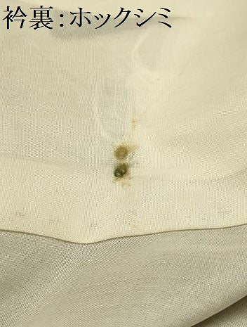 平和屋着物■上質な紬　枝花文　正絹　逸品　AABI3981sx
