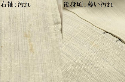 平和屋着物■上質な紬　飾花文　正絹　逸品　AABI4029sx