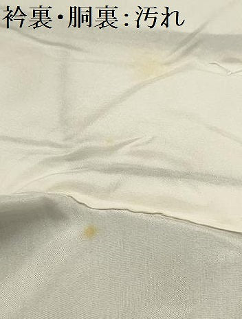 平和屋着物■上質な紬　風景文　正絹　逸品　AABI4064sx