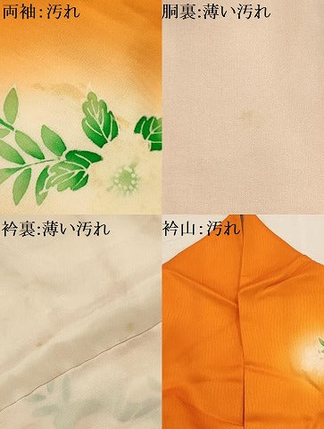 平和屋着物■訪問着　飾花文　暈し染め　正絹　逸品　AABI4085sx