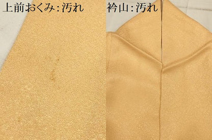 平和屋着物■訪問着　駒刺繍　仕覆文　金彩　正絹　逸品　AABI4089sx
