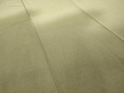 平和屋着物■江戸小紋　訪問着　霞文　暈し染め　正絹　逸品　AABI4125sx