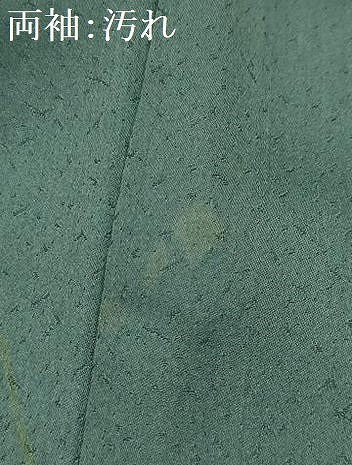 平和屋着物■訪問着 流水枝花文 暈し染め 金彩 正絹 逸品 AABI4143sx