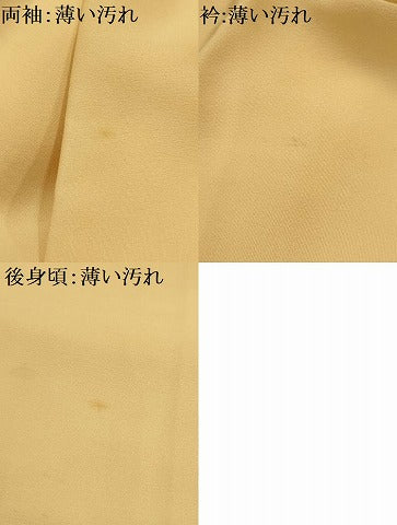 平和屋着物■訪問着　枝花文　正絹　逸品　AABI4149sx