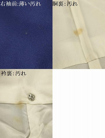 平和屋着物■訪問着 枝花文 暈し染め 正絹 逸品 AABI4157sx