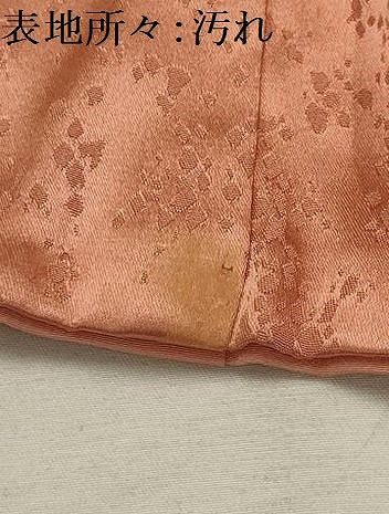 平和屋着物■訪問着　笹竹文　正絹　逸品　AABI4217sx