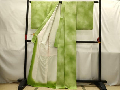平和屋着物■上質な小紋　風景地紋　暈し染め　正絹　逸品　AABI4218sx