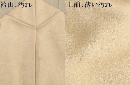 平和屋着物■訪問着　友禅　枝花文　正絹　逸品　AABI4232sx